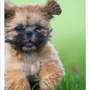 Meet your Posher, Christopher